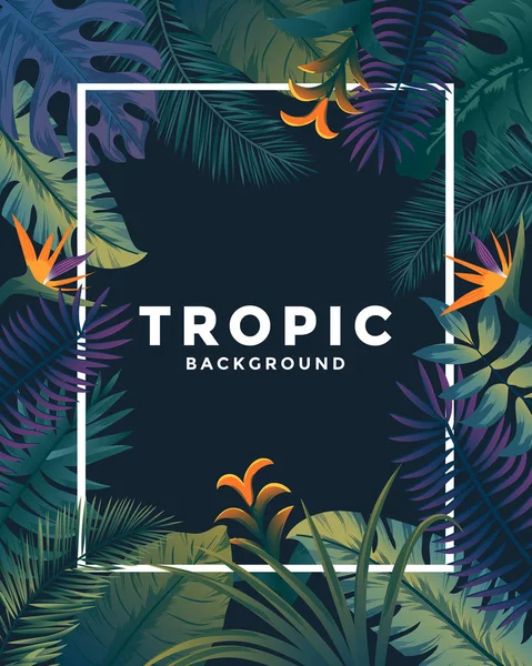 Tropical Poster with frame — Stock Vector
