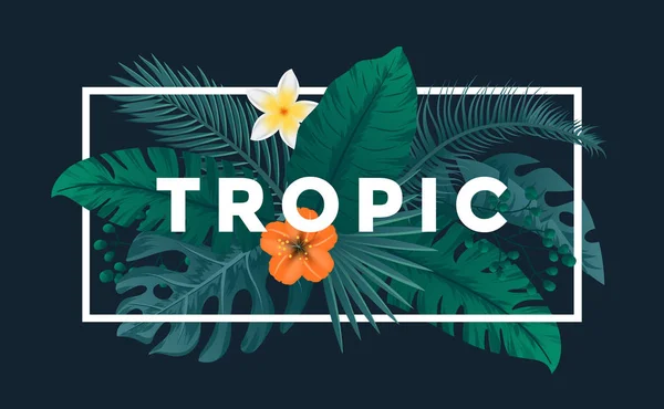 Fondo tropical — Vector de stock