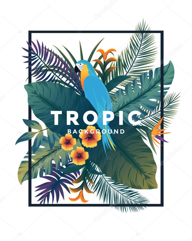 Tropical Bakground with frame 2