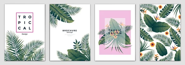 Tropische Flyer Design 2 — Stockvector