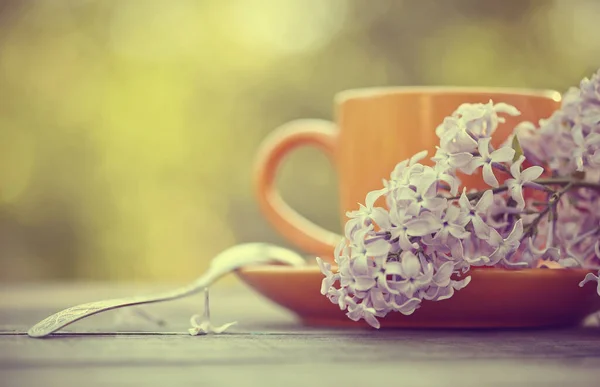 Coupe Orange Avec Une Cuillère Une Branche Lilas Sur Une — Photo