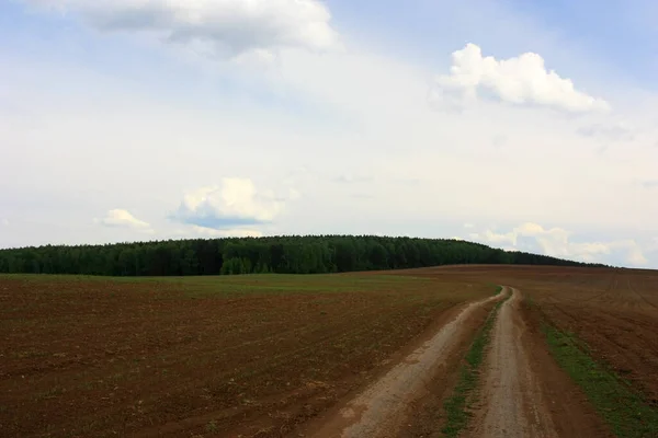 Country Road Field — Stock Photo, Image