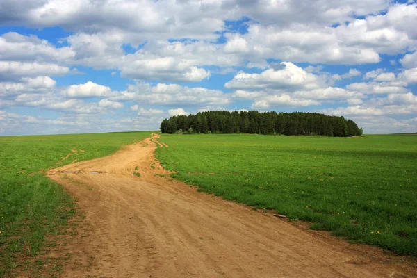 Yeşil Bir Tarlada Toprak Yol — Stok fotoğraf