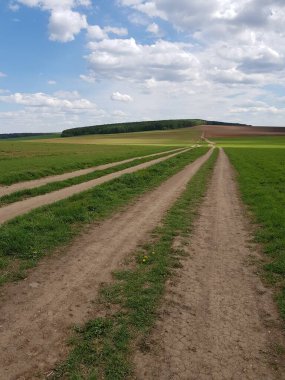 Tarladaki toprak yol.