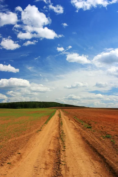 Strada Nel Campo Sotto Cielo Blu — Foto Stock