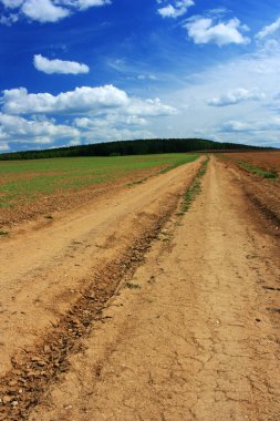 Tarladaki toprak yol.