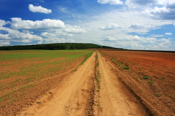 Estrada Terra Campo Abaixo Céu Azul — Fotografia de Stock