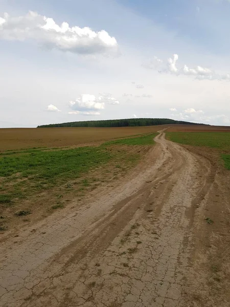 曇り空の下の畑の田舎道 — ストック写真
