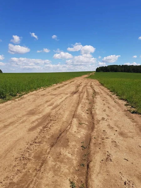 Droga Gruntowa Kraju Zielonym Polu — Zdjęcie stockowe