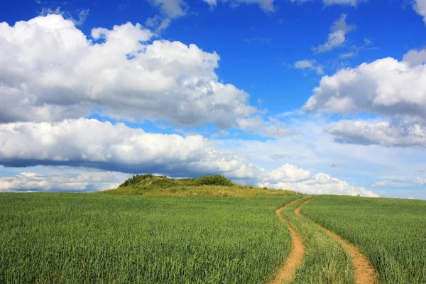 Strada Sterrata Campagna Nel Campo — Foto Stock