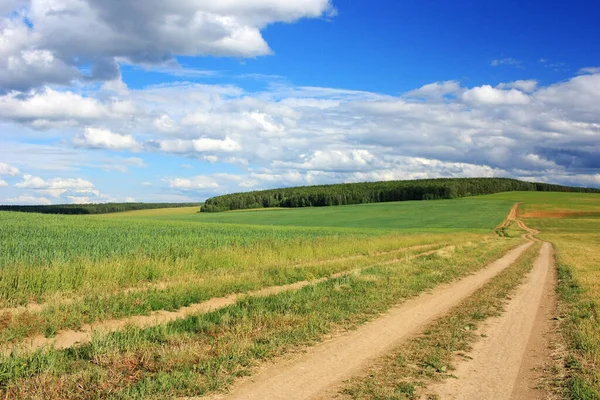 Dirt Country Road Zöld Mezőn — Stock Fotó