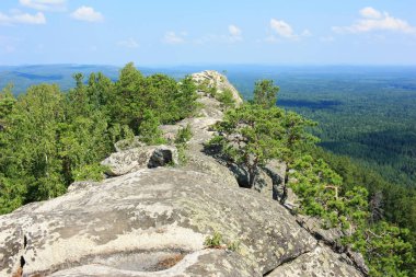 Arakul uçurumundan yeşil ormana bak.
