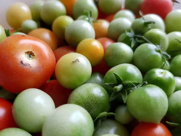 Punaiset Vihreät Tomaatit Lautasella — kuvapankkivalokuva
