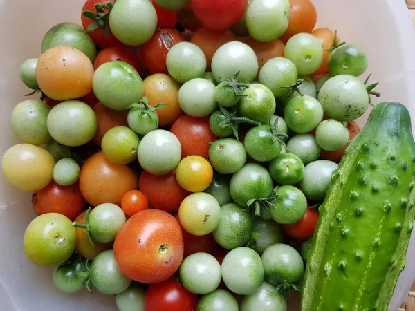 Tomates Vermelhos Verdes Uma Chapa — Fotografia de Stock