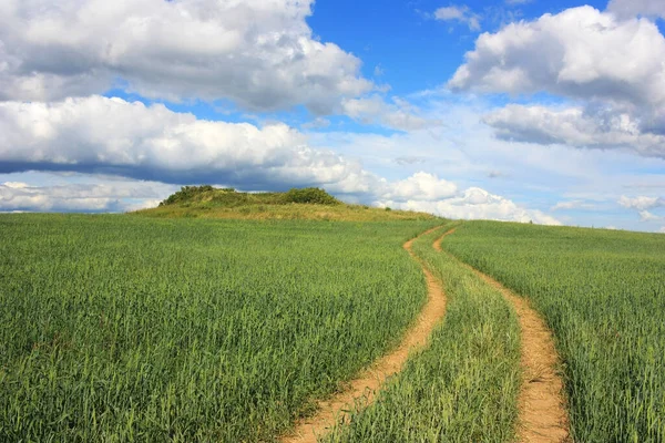 Strada Campagna Nel Campo Grano — Foto Stock