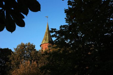 Kaliningrad 'daki Kant Adası Katedrali