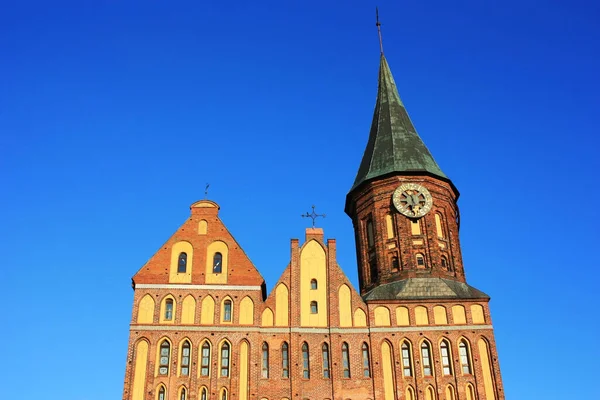 Kathedrale Auf Der Kantinsel Kaliningrad — Stockfoto