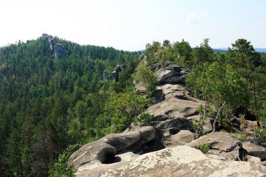 Taş sırttan Sibirya Taygası manzarası