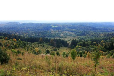 Ural tayga ufka kadar uzanıyor