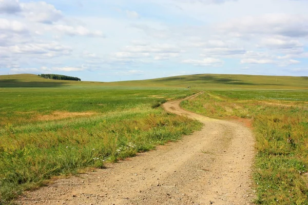 Заміська Дорога Полі — стокове фото