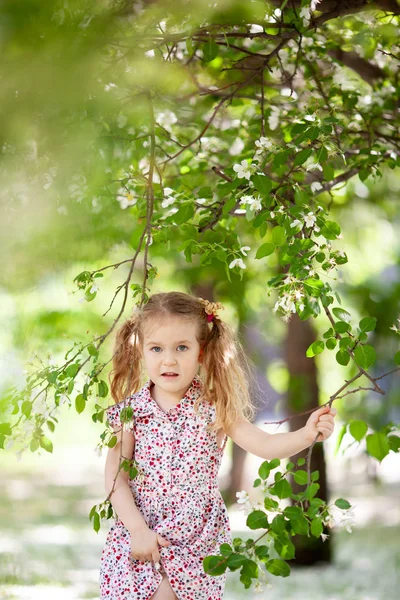 Little Cute Girl Walking Summer Park Outdoor — Stock Photo, Image