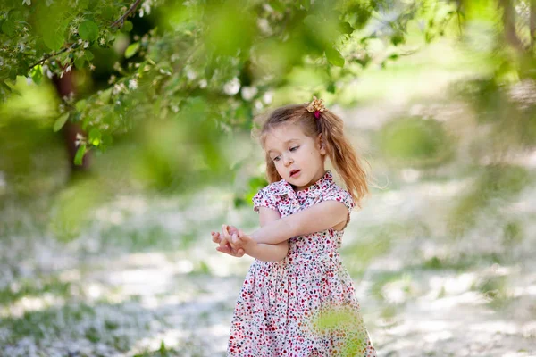 Pequena Menina Bonito Andando Parque Verão Livre — Fotografia de Stock