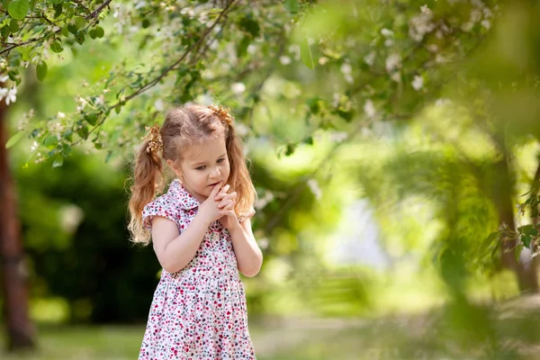 Маленька Мила Дівчинка Гуляє Літньому Парку Відкритому Повітрі — стокове фото