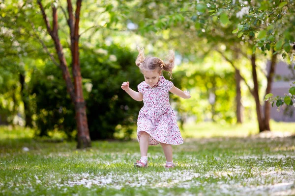 Açık yaz Park'ta yürüyordunuz küçük şirin kız