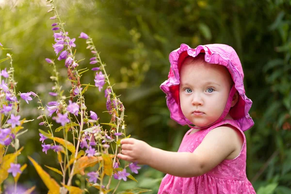 Nyári Kert Virágok Háttér Aranyos Kis Lány Portréja — Stock Fotó
