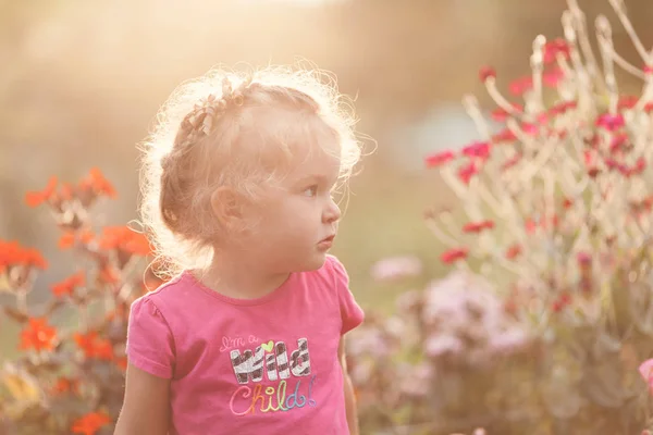 Porträt Von Niedlichen Kleinen Mädchen Sommer Garten Auf Dem Hintergrund — Stockfoto