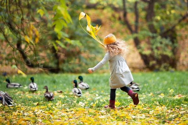 Schöne Mädchen Gestrickten Krone Spaziergänge Herbst Park Freien — Stockfoto