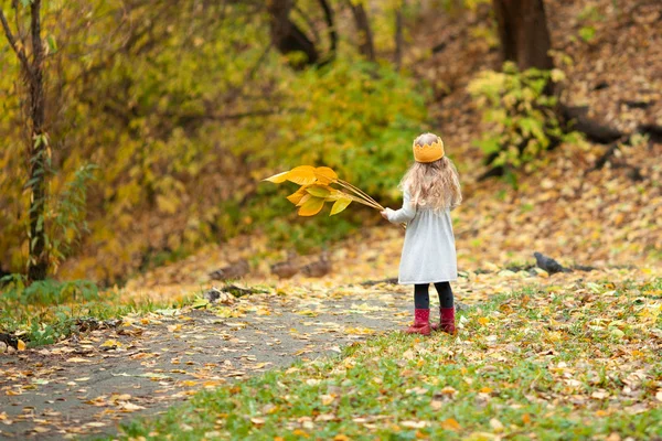 Schöne Mädchen Gestrickten Krone Spaziergänge Herbst Park Freien — Stockfoto