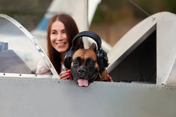 Mooi Meisje Duits Bokser Cockpit Lopen Luchthaven Herfst Outdoor — Stockfoto