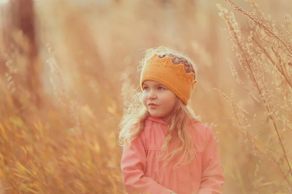 Schöne Mädchen Gestrickten Krone Spaziergänge Herbst Park Freien — Stockfoto