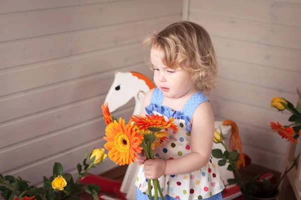 Feliz Fantasía Hermosa Linda Niña Celebra Cumpleaños Cumpleaños Divertido Con —  Fotos de Stock