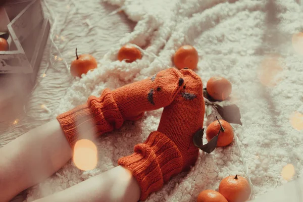 Оранжевый Лис Вязаные Носки Фото Стиле Hyugge Комфорт Теплое Настроение — стоковое фото