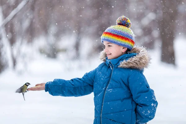 ハンサムな男の子は ウィンターパークの鳥をフィードします おっぱいが子供の手のひらの上に座る — ストック写真