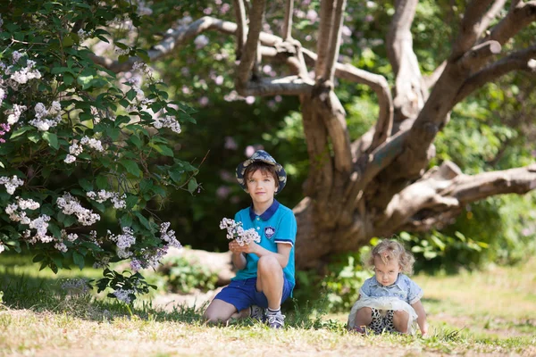 Kleine Niedliche Fröhliche Mädchen Und Jungen Fuß Sommer Park Freien — Stockfoto
