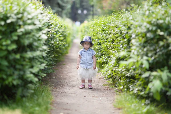 Маленька Мила Весела Дівчинка Гуляє Літньому Парку Відкритому Повітрі — стокове фото