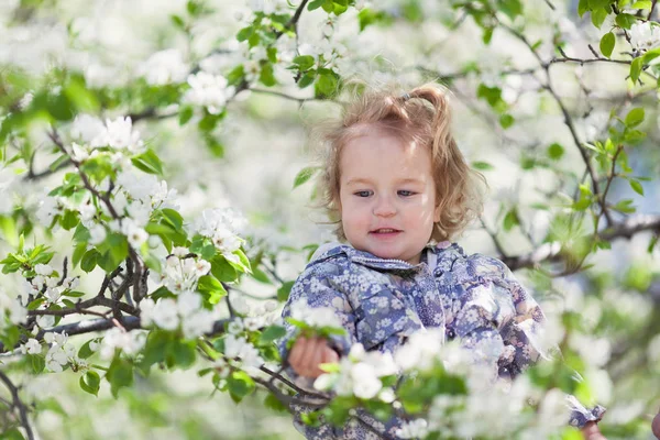 Piccola Ragazza Carina Che Cammina Nel Parco Estivo All Aperto — Foto Stock