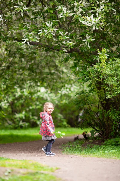 Niña Linda Caminando Parque Verano Aire Libre —  Fotos de Stock