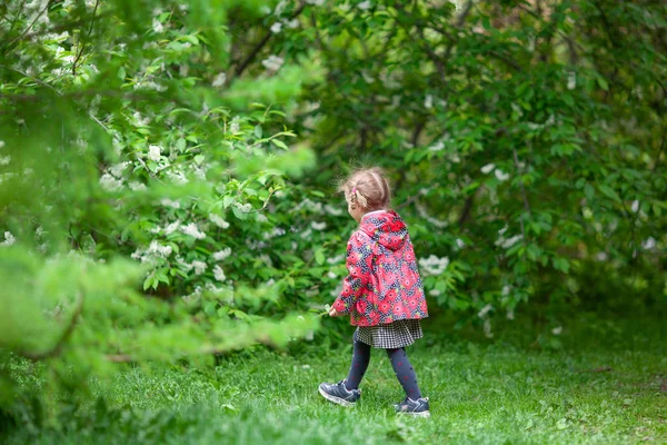 Niña Linda Caminando Parque Verano Aire Libre —  Fotos de Stock