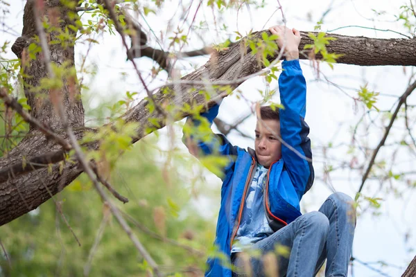Schöner Junge Sitzt Auf Einem Baum Freien — Stockfoto