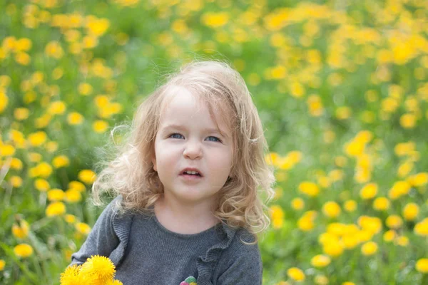 Portrait Von Niedlichen Glücklichen Kleinen Gir Mit Löwenzahn Freien — Stockfoto