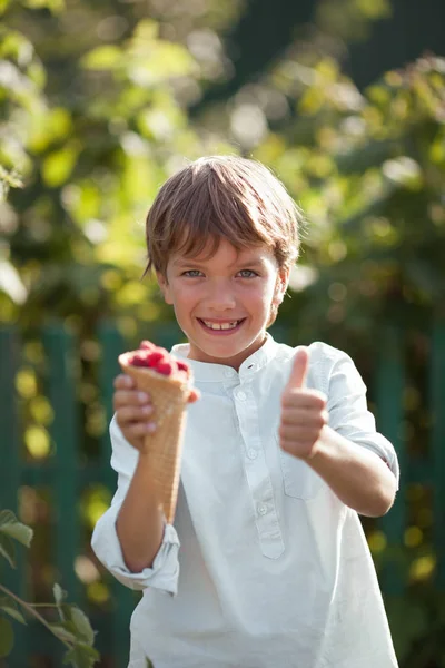 Glücklich schöner Junge isst Himbeeren im Sommer Garten, im Freien. — Stockfoto