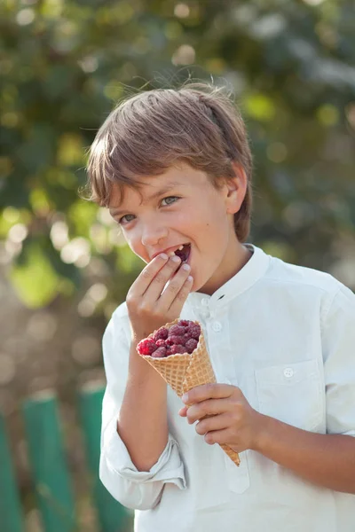 Feliz chico guapo está comiendo frambuesas en el jardín de verano, al aire libre . —  Fotos de Stock