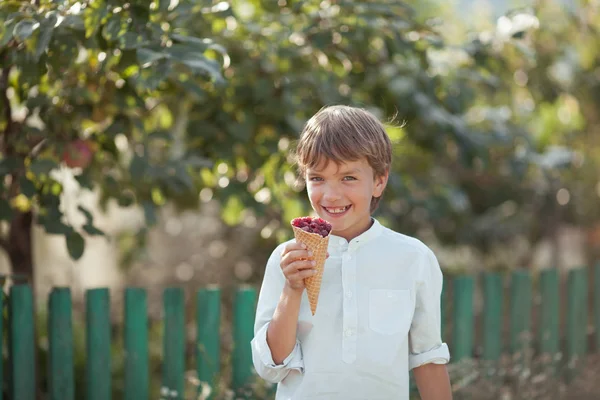 Glücklich schöner Junge isst Himbeeren im Sommer Garten, im Freien. — Stockfoto