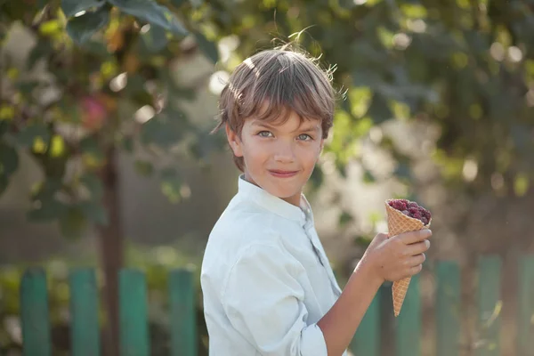 Glücklich schöner Junge isst Himbeeren im Sommer Garten, im Freien. — Stockfoto