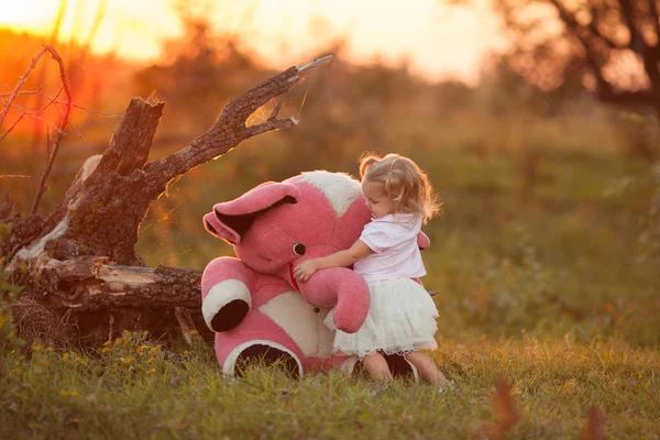 Όμορφο κοριτσάκι και ροζ ελέφαντας. Κορίτσι που παίζει με ένα μαλακό παιχνίδι σε μια φωτοθερινές γήπεδο στο ηλιοβασίλεμα — Φωτογραφία Αρχείου