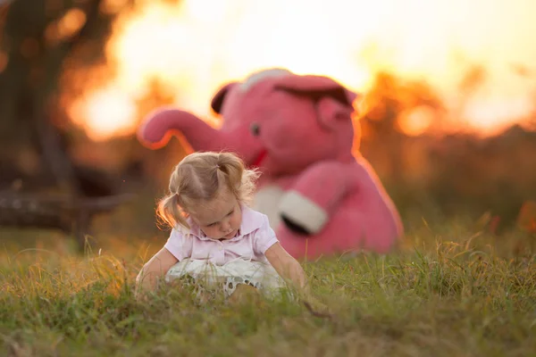 Niña bonita y elefante rosa. Chica jugando con un juguete suave en un fotne de un campo de verano al atardecer — Foto de Stock